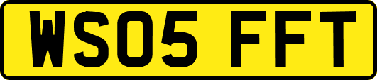 WS05FFT