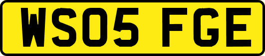 WS05FGE