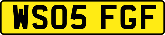 WS05FGF