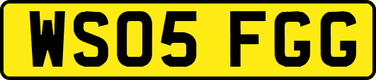 WS05FGG