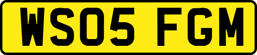 WS05FGM
