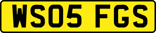 WS05FGS