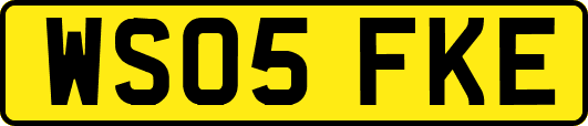 WS05FKE
