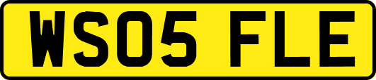 WS05FLE
