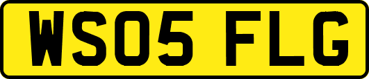 WS05FLG