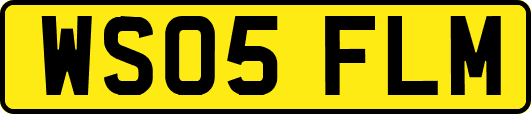 WS05FLM