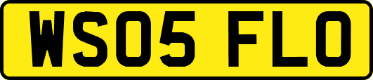 WS05FLO