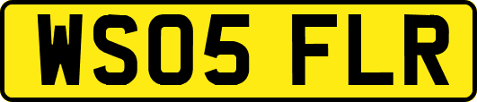 WS05FLR