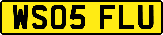 WS05FLU