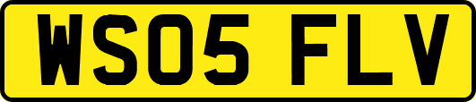 WS05FLV