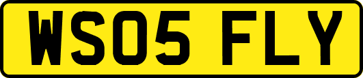 WS05FLY