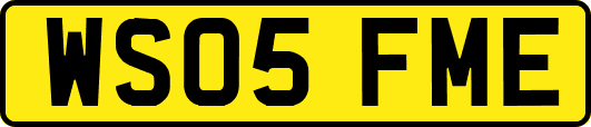 WS05FME