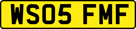 WS05FMF