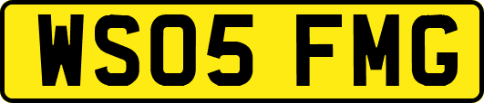 WS05FMG