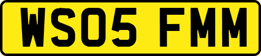 WS05FMM