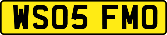 WS05FMO