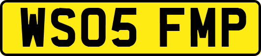 WS05FMP