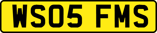 WS05FMS