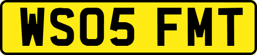 WS05FMT