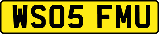 WS05FMU
