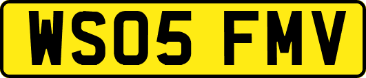WS05FMV