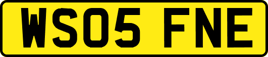 WS05FNE