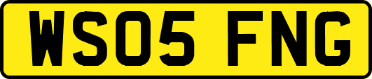 WS05FNG