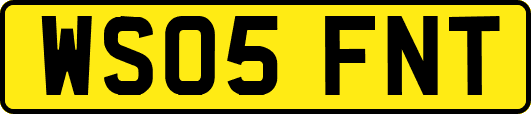 WS05FNT