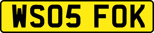 WS05FOK