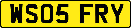 WS05FRY