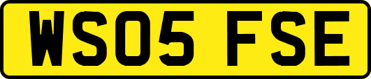 WS05FSE