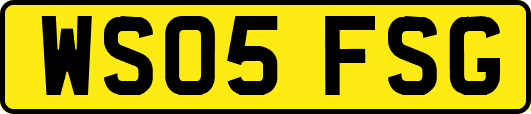 WS05FSG