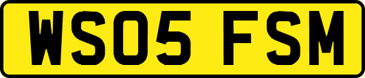 WS05FSM