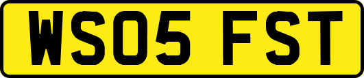 WS05FST