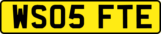 WS05FTE