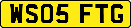 WS05FTG
