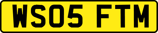 WS05FTM