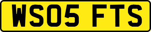 WS05FTS