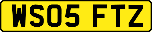 WS05FTZ