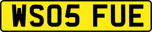 WS05FUE