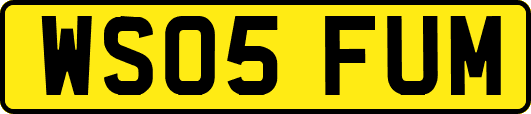 WS05FUM