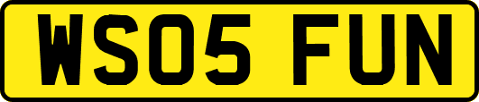 WS05FUN