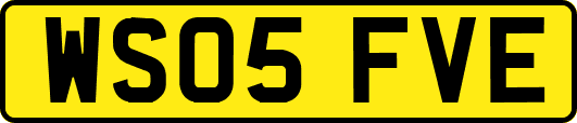 WS05FVE