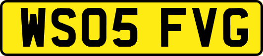 WS05FVG