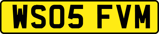 WS05FVM