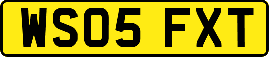 WS05FXT