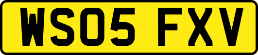 WS05FXV