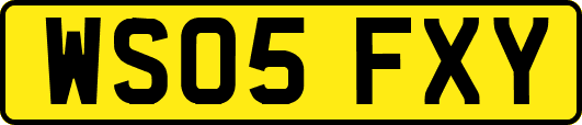 WS05FXY