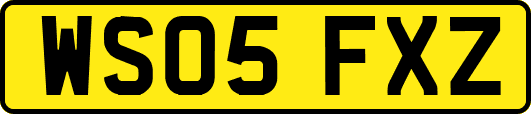 WS05FXZ