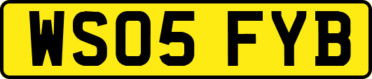 WS05FYB